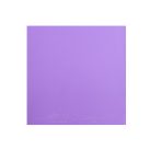 Joola Dynaryz AGR-7804