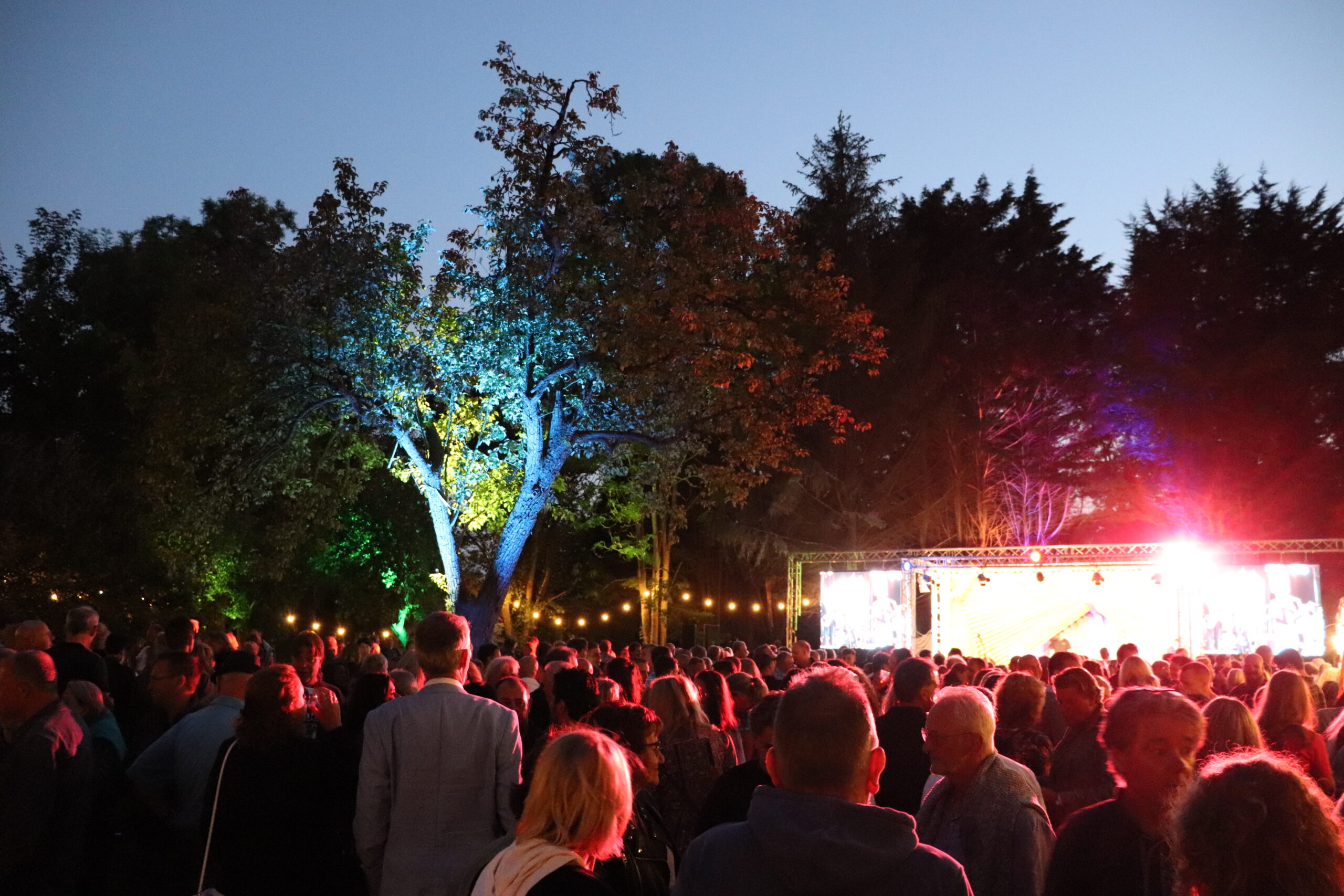 20 mei: Spring Blues bij de Brielsche Aap